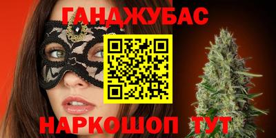 a pvp Славгород