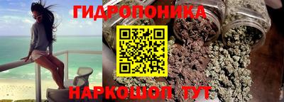 a pvp Славгород