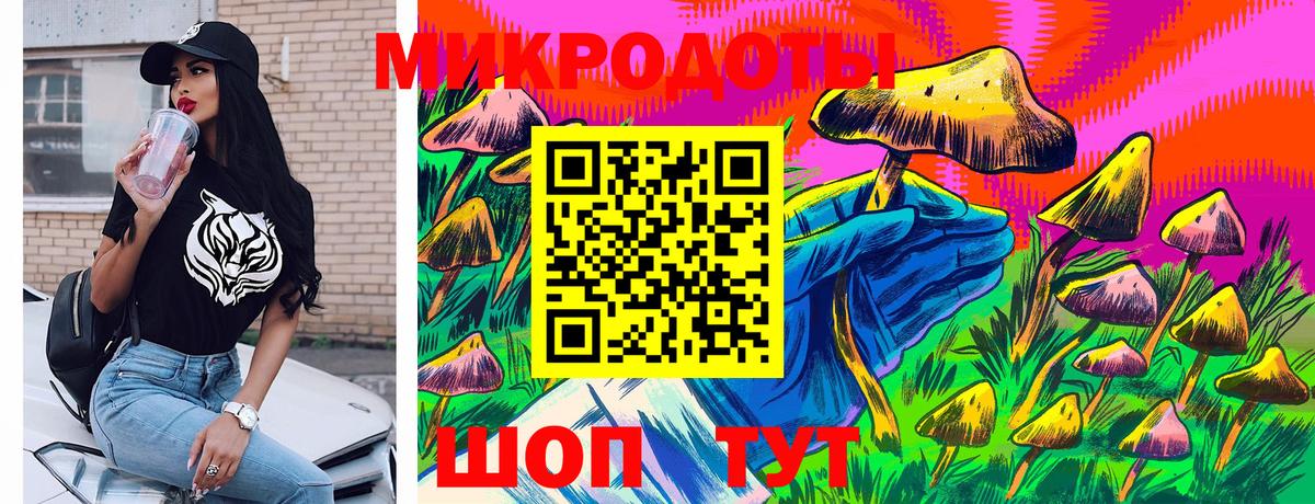 Электрогорск  Псилоцибиновые грибы Psilocybine cubensis  Вход с VPN 